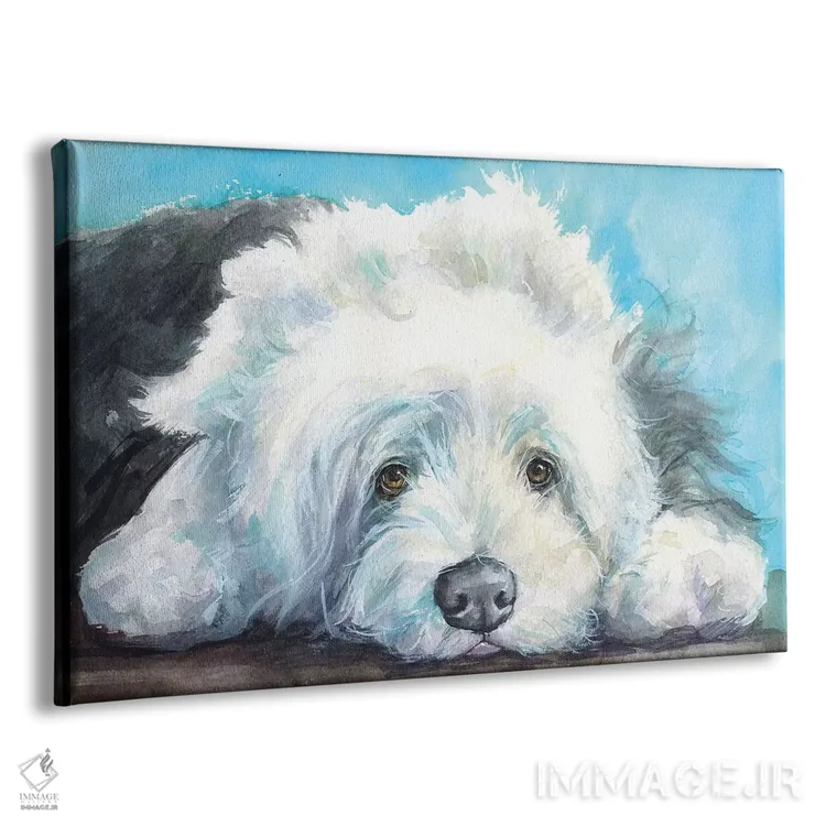 تابلو دکوراتیو شپرد انگلیسی پیر اثر جورج دیاچنکو - نمای پرسپکتیو محصول