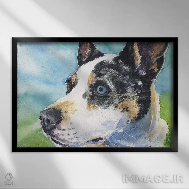 تابلو دکوراتیو سگ گاوچران استرالیایی اثر جورج دیاچنکو - نمای قابدار مشکی