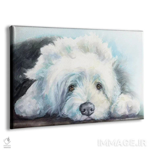 تابلو دکوراتیو توله گوسفند سگ انگلیسی قدیمی اثر جورج دیاچنکو - نمای پرسپکتیو محصول