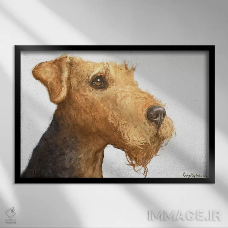 تابلو دکوراتیو ایردیل با زمینه سفید اثر جورج دیاچنکو - نمای قابدار مشکی