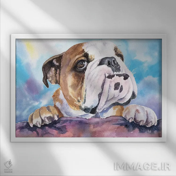 تابلو دکوراتیو بولداگ بامزه اثر جورج دیاچنکو - نمای قابدار سفید