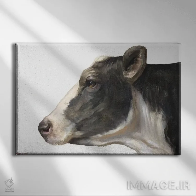 تابلو دکوراتیو گاو با زمینه سفید اثر جورج دیاچنکو - نمای روبهرو روی دیوار