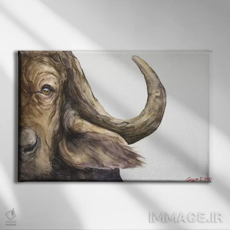 تابلو دکوراتیو گاو وحشی آفریقایی اثر جورج دیاچنکو - نمای روبهرو روی دیوار