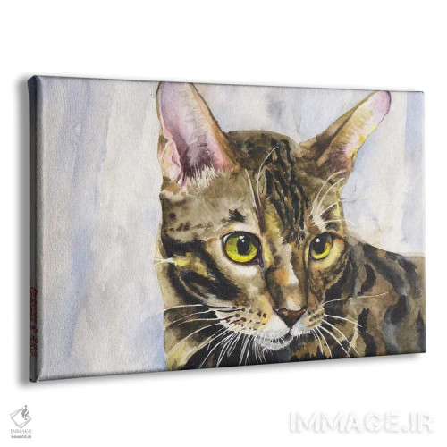 تابلو دکوراتیو بچه گربه اثر جورج دیاچنکو - نمای پرسپکتیو محصول