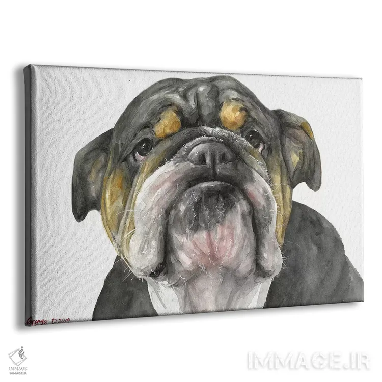 تابلو دکوراتیو نگاه بولداگ انگلیسی اثر جورج دیاچنکو - نمای پرسپکتیو محصول