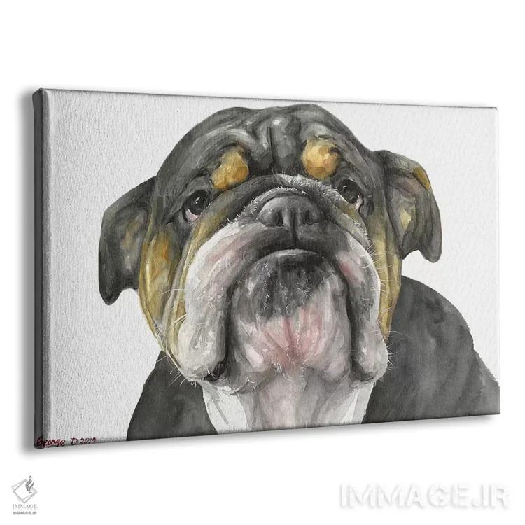 تابلو دکوراتیو نگاه بولداگ انگلیسی اثر جورج دیاچنکو - نمای پرسپکتیو محصول