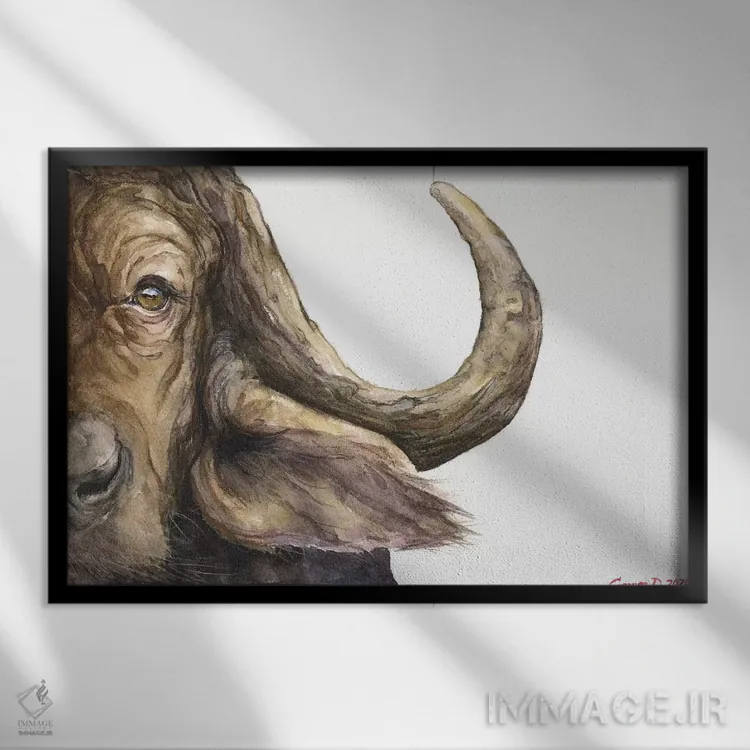 تابلو دکوراتیو گاو وحشی آفریقایی اثر جورج دیاچنکو - نمای قابدار مشکی