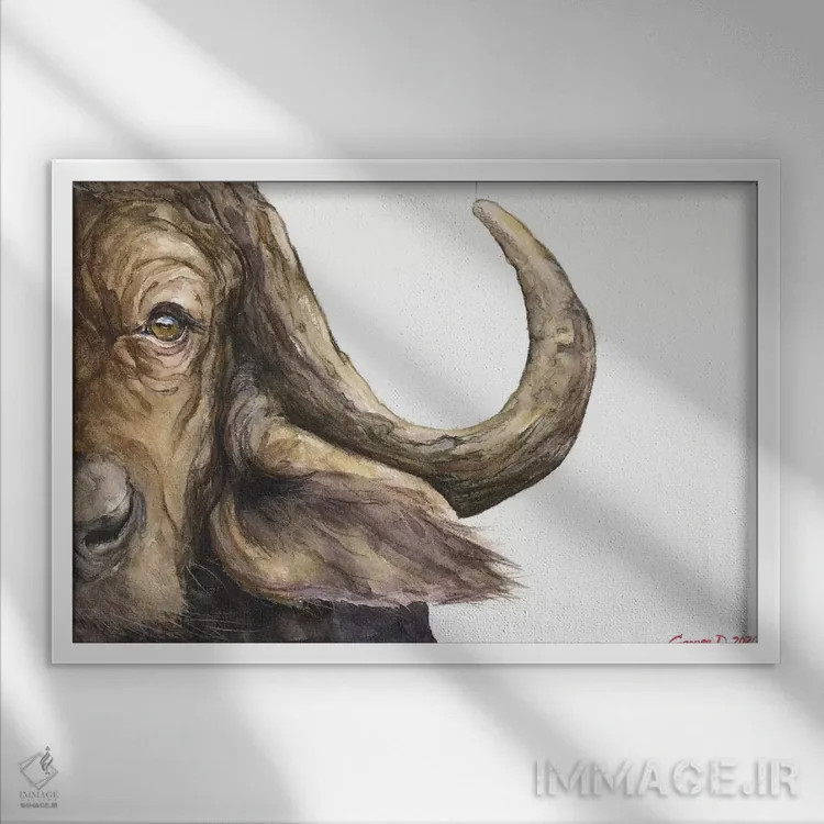 تابلو دکوراتیو گاو وحشی آفریقایی اثر جورج دیاچنکو - نمای قابدار سفید