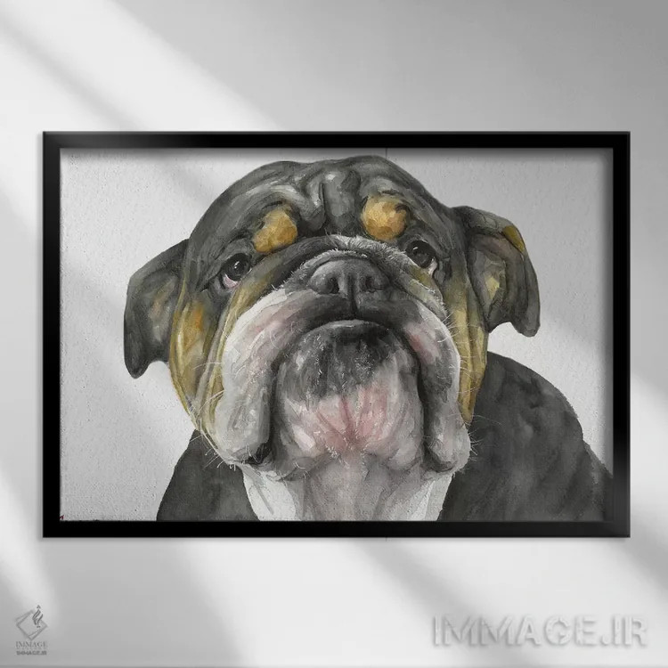 تابلو دکوراتیو نگاه بولداگ انگلیسی اثر جورج دیاچنکو - نمای قابدار مشکی