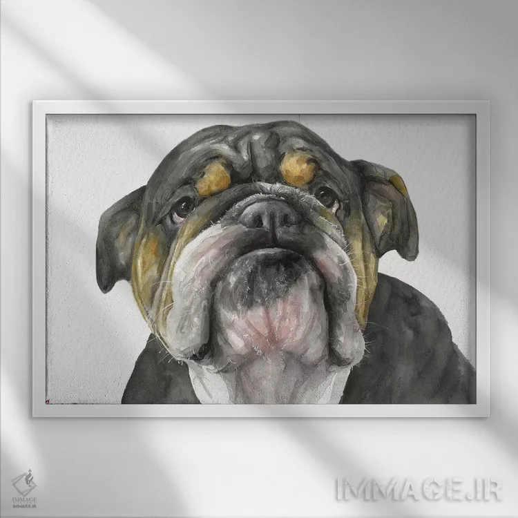 تابلو دکوراتیو نگاه بولداگ انگلیسی اثر جورج دیاچنکو - نمای قابدار سفید