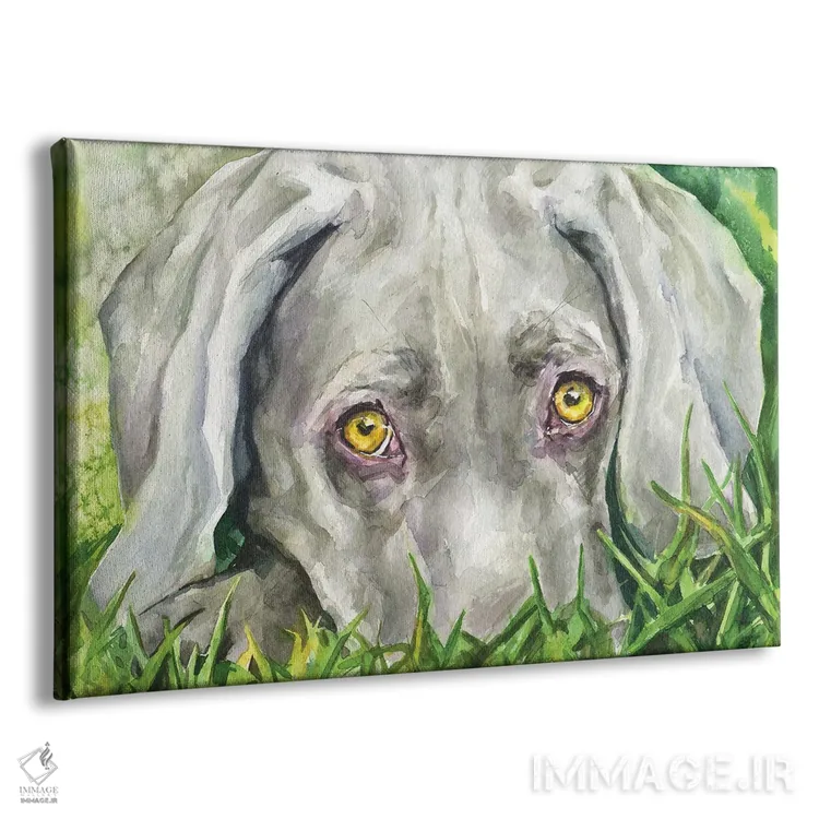 تابلو دکوراتیو چشمان وایمارانر اثر جورج دیاچنکو - نمای پرسپکتیو محصول