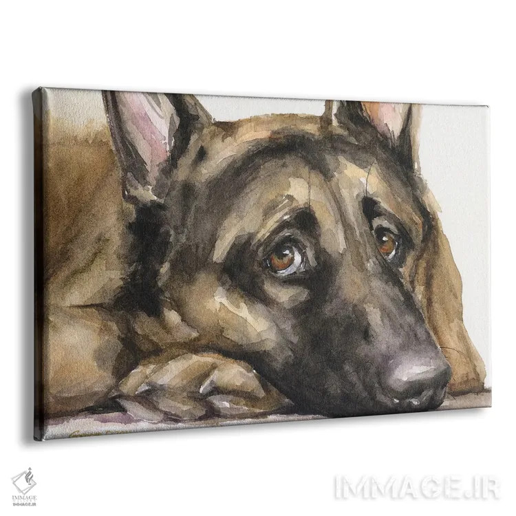 تابلو دکوراتیو نگاه ژرمن شپرد ۳ اثر جورج دیاچنکو - نمای پرسپکتیو محصول