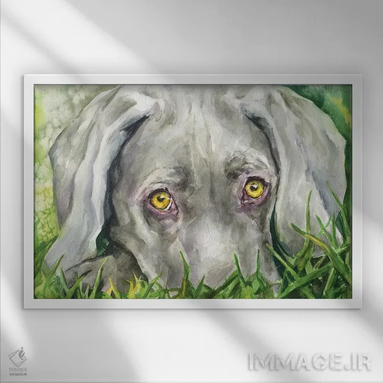 تابلو دکوراتیو چشمان وایمارانر اثر جورج دیاچنکو - نمای قابدار سفید