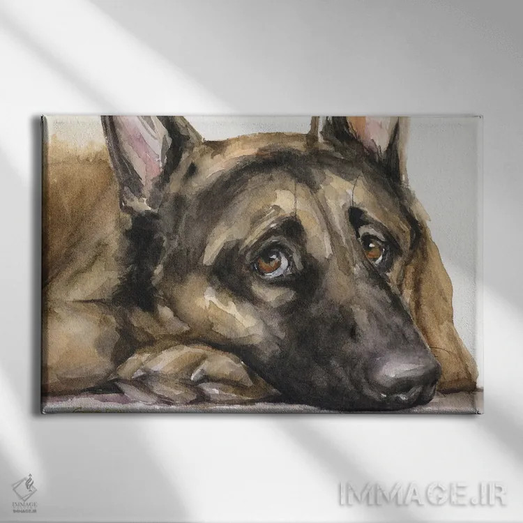 تابلو دکوراتیو نگاه ژرمن شپرد ۳ اثر جورج دیاچنکو - نمای روبهرو روی دیوار