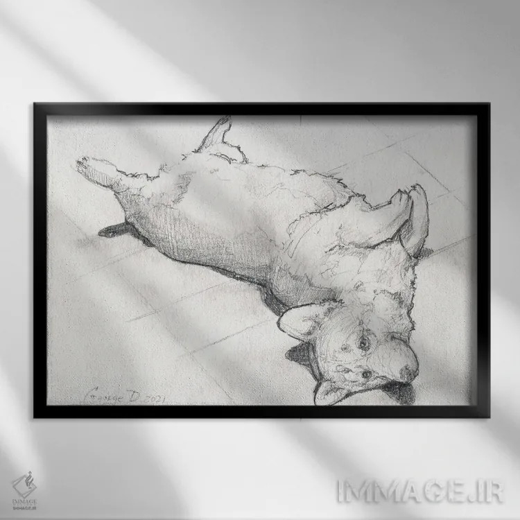 تابلو دکوراتیو کورگی می خواهد بازی کند اثر جورج دیاچنکو - نمای قابدار مشکی