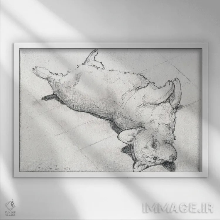 تابلو دکوراتیو کورگی می خواهد بازی کند اثر جورج دیاچنکو - نمای قابدار سفید