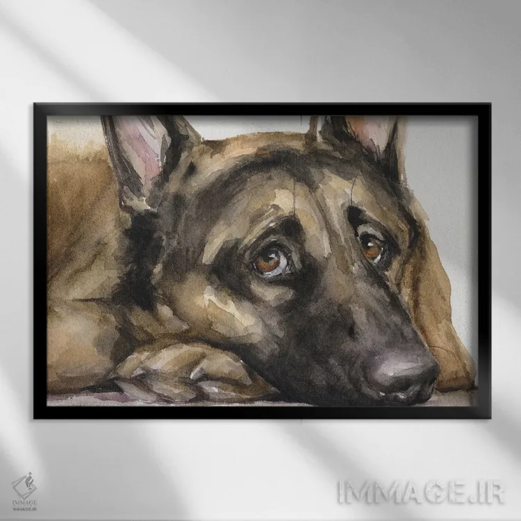 تابلو دکوراتیو نگاه ژرمن شپرد ۳ اثر جورج دیاچنکو - نمای قابدار مشکی