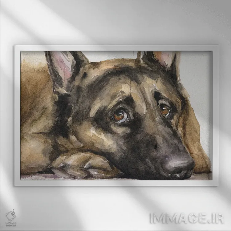 تابلو دکوراتیو نگاه ژرمن شپرد ۳ اثر جورج دیاچنکو - نمای قابدار سفید