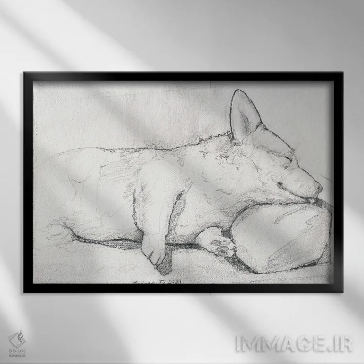 تابلو مینیمال کورگی خوابیده اثر جورج دیاچنکو - نمای قابدار مشکی