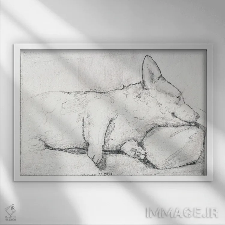 تابلو مینیمال کورگی خوابیده اثر جورج دیاچنکو - نمای قابدار سفید