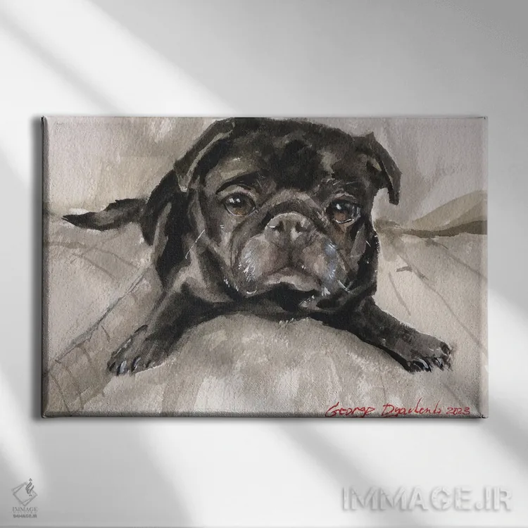 تابلو دکوراتیو پاگ سیاه روی مبل اثر جورج دیاچنکو - نمای روبهرو روی دیوار