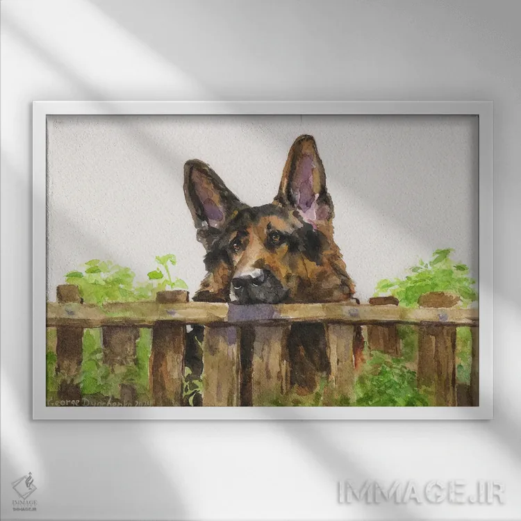 تابلو دکوراتیو ژرمن شپرد روی حصار اثر جورج دیاچنکو - نمای قابدار سفید