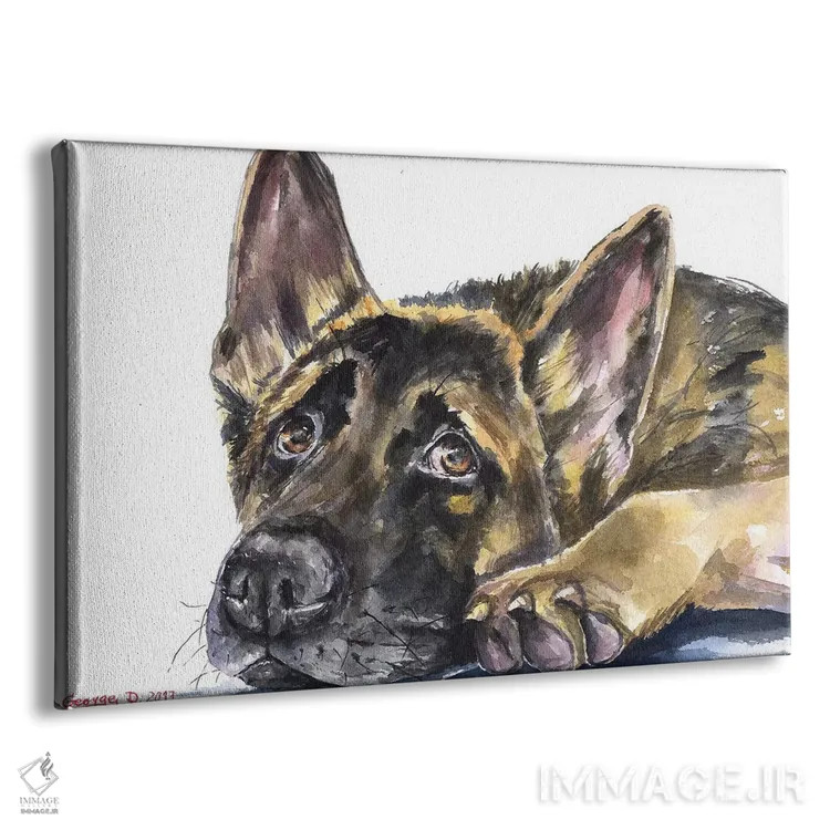 تابلو دکوراتیو ژرمن شپرد اثر جورج دیاچنکو - نمای پرسپکتیو محصول