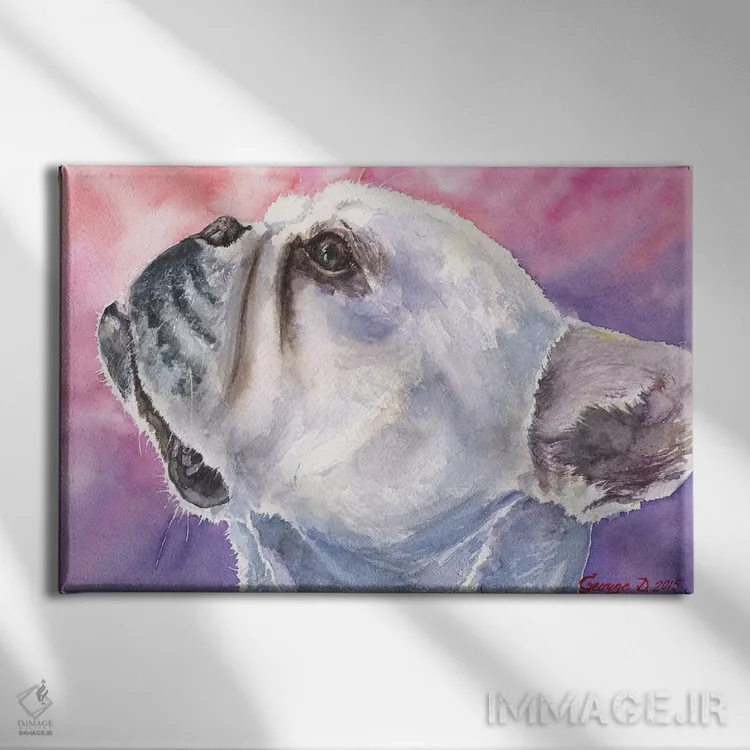 تابلو دکوراتیو بولداگ فرانسوی ۶ اثر جورج دیاچنکو - نمای روبهرو روی دیوار