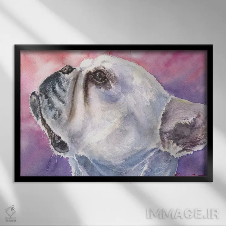 تابلو دکوراتیو بولداگ فرانسوی ۶ اثر جورج دیاچنکو - نمای قابدار مشکی