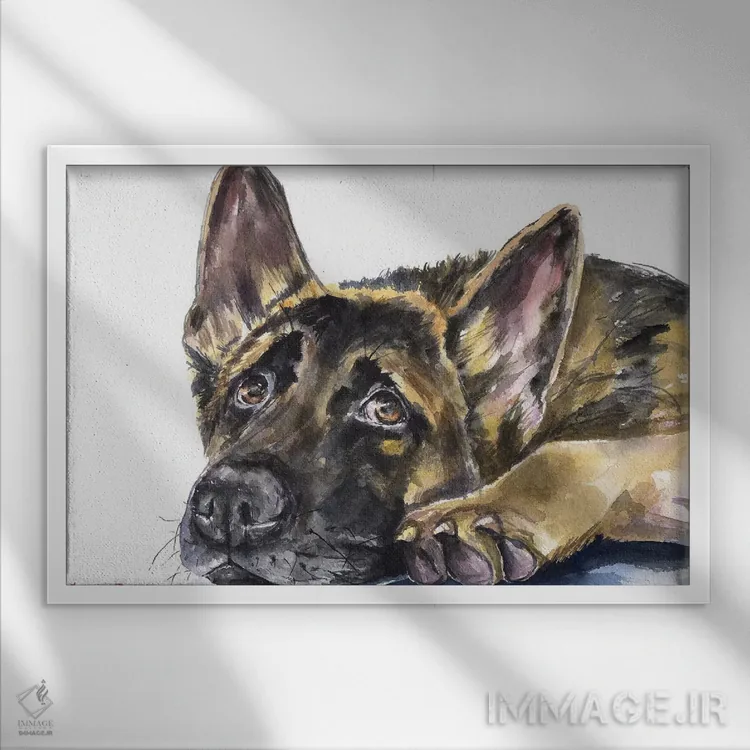 تابلو دکوراتیو ژرمن شپرد اثر جورج دیاچنکو - نمای قابدار سفید