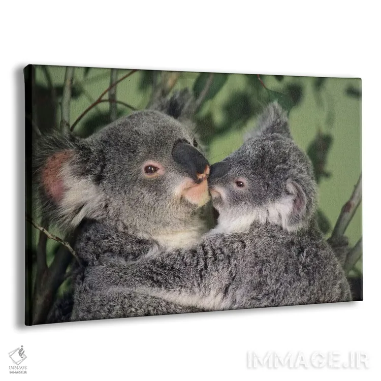 تابلو دکوراتیو مادر کوالا با بچه، استرالیا اثر گری الیس - نمای پرسپکتیو محصول