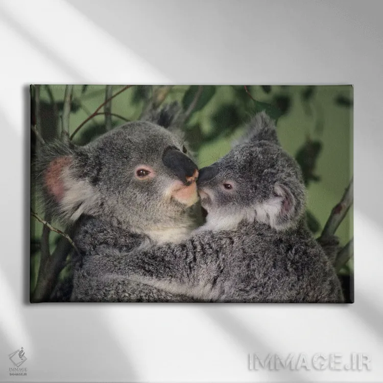 تابلو دکوراتیو مادر کوالا با بچه، استرالیا اثر گری الیس - نمای روبهرو روی دیوار