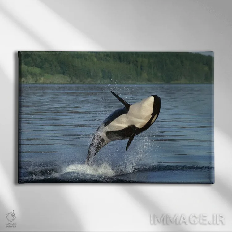 تابلو دکوراتیو شکافتن آب توسط اورکا، گذرگاه داخلی، آلاسکا اثر گری الیس - نمای روبهرو روی دیوار