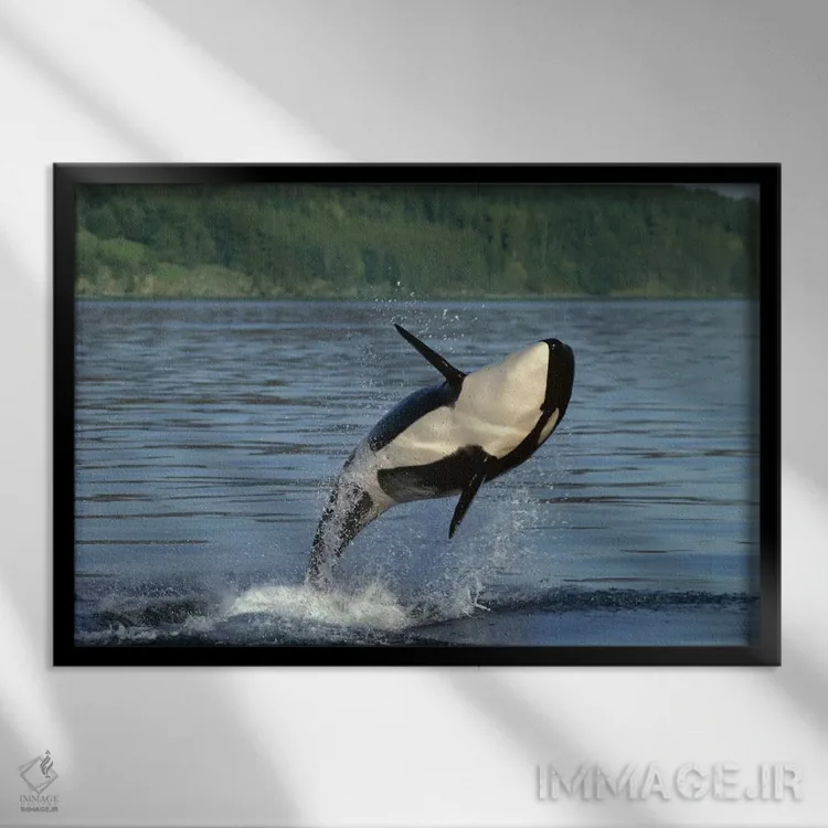 تابلو دکوراتیو شکافتن آب توسط اورکا، گذرگاه داخلی، آلاسکا اثر گری الیس - نمای قابدار مشکی