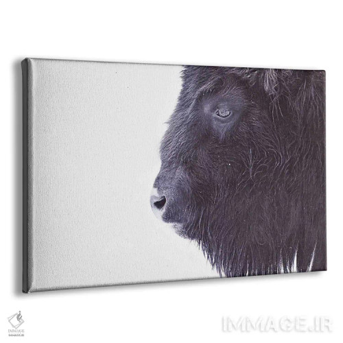 تابلو مینیمال پرتره گاومیش سیاه اثر مونیکا استریگل - نمای پرسپکتیو محصول