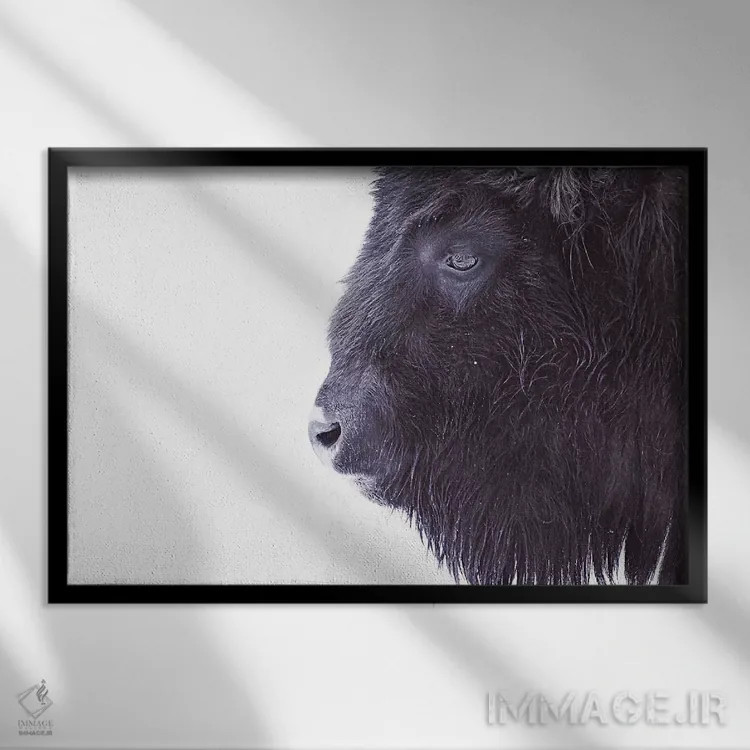 تابلو مینیمال پرتره گاومیش سیاه اثر مونیکا استریگل - نمای قابدار مشکی