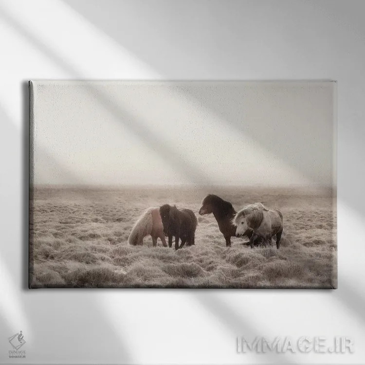 تابلو دکوراتیو اسب های وحشی ایسلند I اثر مونیکا استریگل - نمای روبهرو روی دیوار