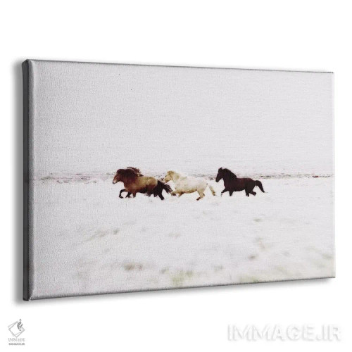 تابلو دکوراتیو منظره اسب های وحشی ایسلند VIII اثر مونیکا استریگل - نمای پرسپکتیو محصول