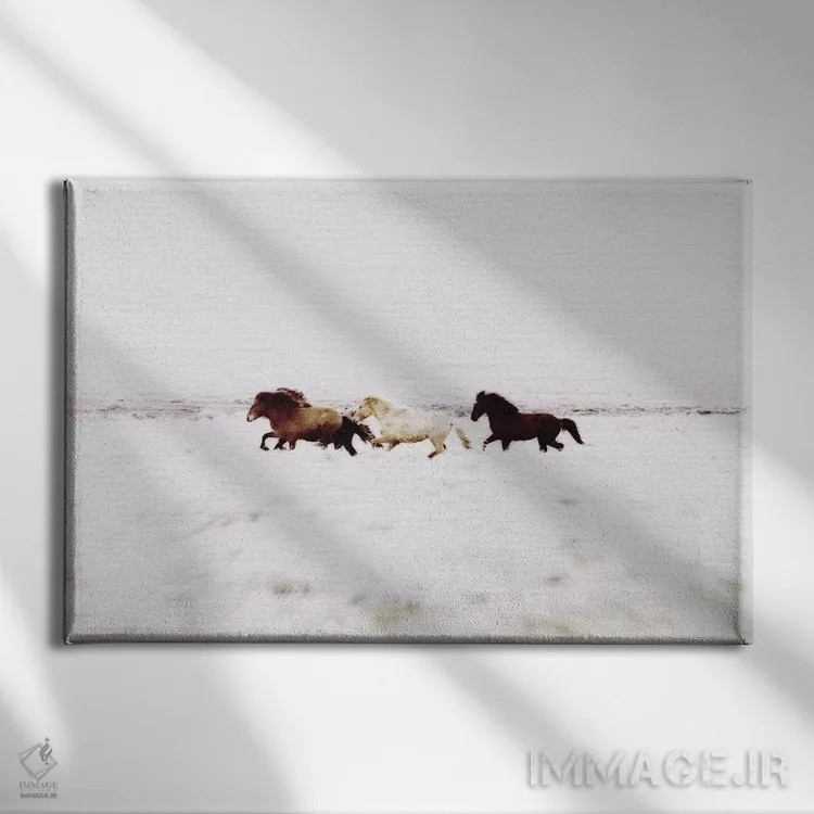 تابلو دکوراتیو منظره اسب های وحشی ایسلند VIII اثر مونیکا استریگل - نمای روبهرو روی دیوار