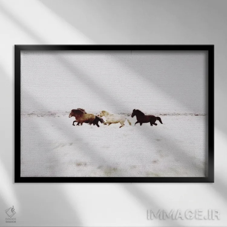 تابلو دکوراتیو منظره اسب های وحشی ایسلند VIII اثر مونیکا استریگل - نمای قابدار مشکی