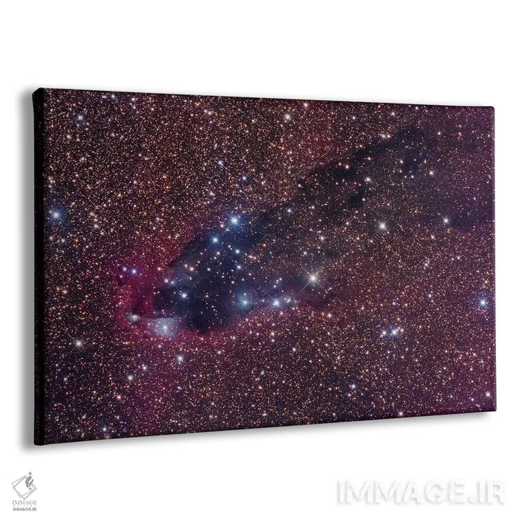 تابلو دکوراتیو Cometary Globule In Scorpius,برج تاریک، توده دنباله دار در… اثر رابرت گندلر - نمای پرسپکتیو محصول