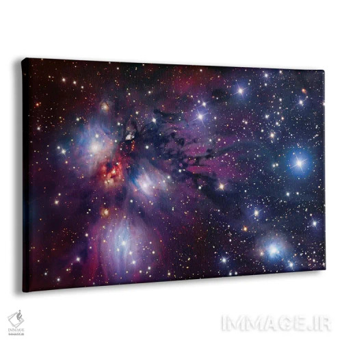 تابلو دکوراتیو مهد ستاره ای در تک شاخ اثر رابرت گندلر - نمای پرسپکتیو محصول