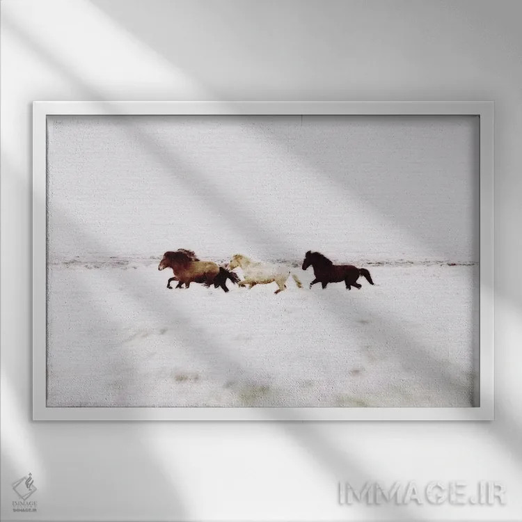 تابلو دکوراتیو منظره اسب های وحشی ایسلند VIII اثر مونیکا استریگل - نمای قابدار سفید