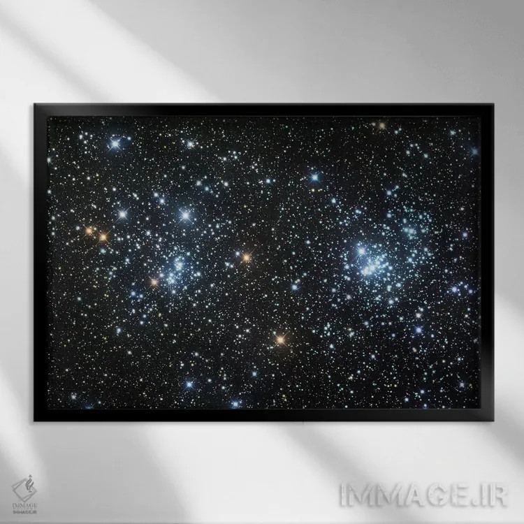 تابلو دکوراتیو خوشه دوتایی اثر رابرت گندلر - نمای قابدار مشکی