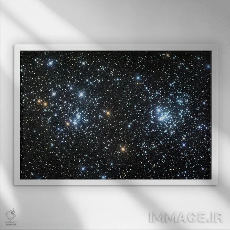 تابلو دکوراتیو خوشه دوتایی اثر رابرت گندلر - نمای قابدار سفید