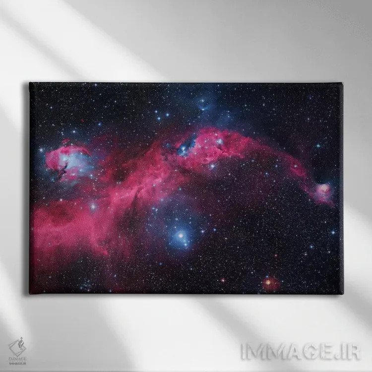 تابلو دکوراتیو سحابی مرغ دریایی اول اثر رابرت گندلر - نمای روبهرو روی دیوار