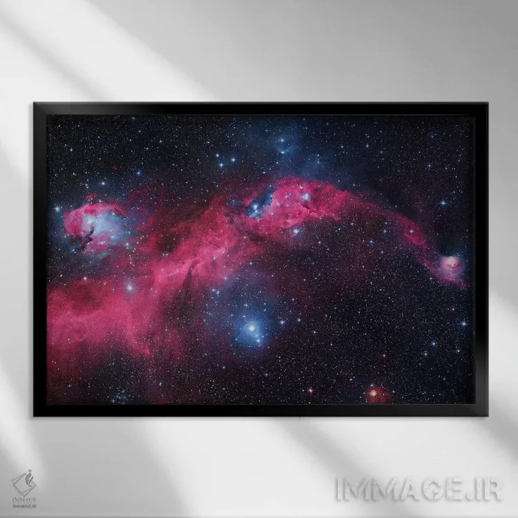 تابلو دکوراتیو سحابی مرغ دریایی اول اثر رابرت گندلر - نمای قابدار مشکی