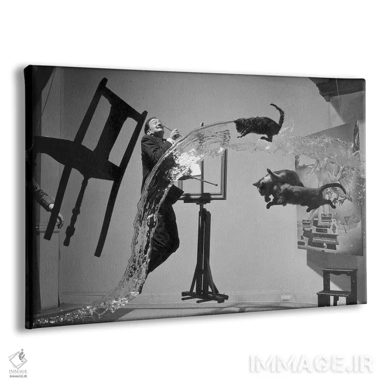 تابلو دکوراتیو سالوادور دالی اثر فیلیپ هالسمن - نمای پرسپکتیو محصول