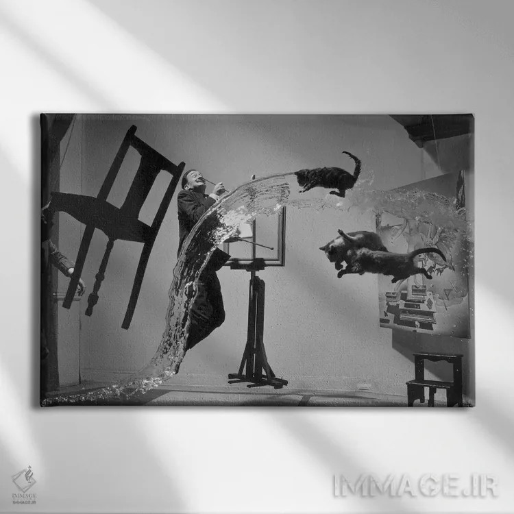 تابلو دکوراتیو سالوادور دالی اثر فیلیپ هالسمن - نمای روبهرو روی دیوار