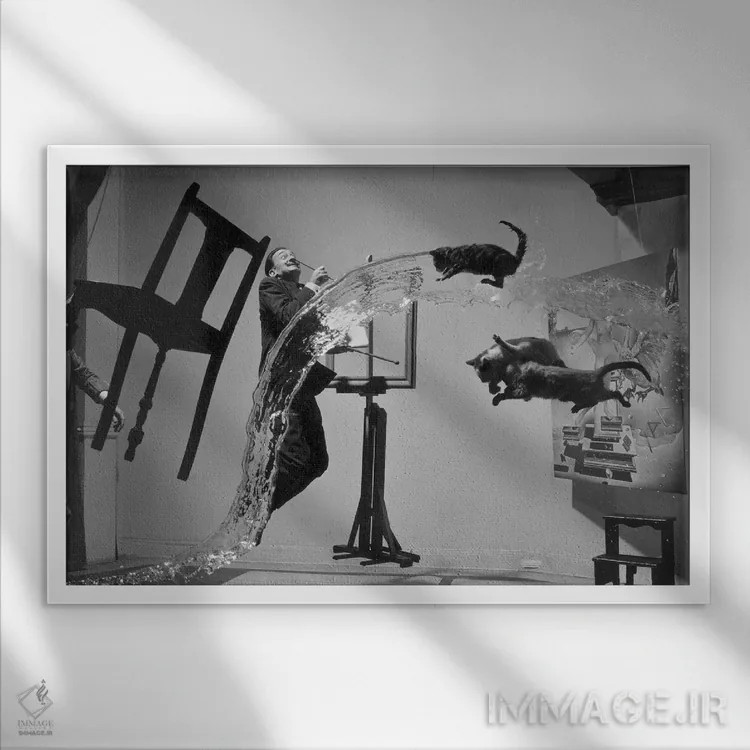 تابلو دکوراتیو سالوادور دالی اثر فیلیپ هالسمن - نمای قابدار سفید